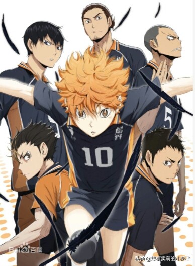 排球少年纸飞机再贩在哪里购买