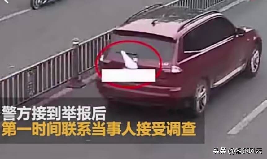 女司机宝马