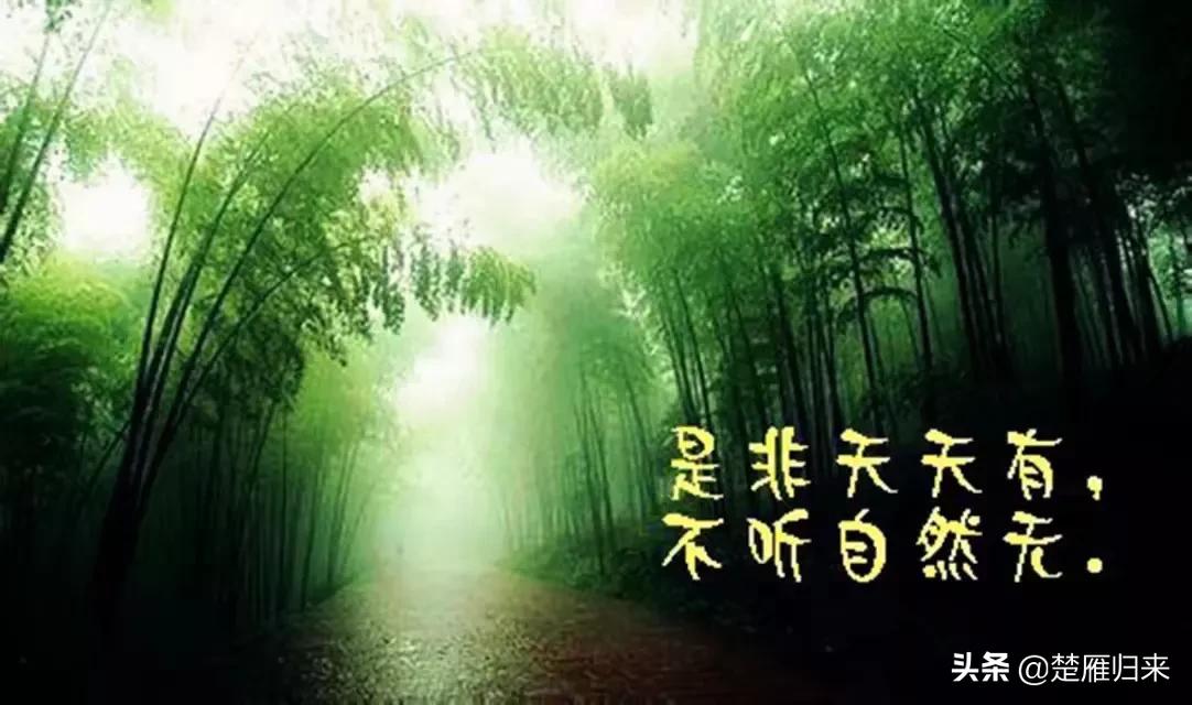 中国同胞在海外生活，中国同胞在海外生活现状