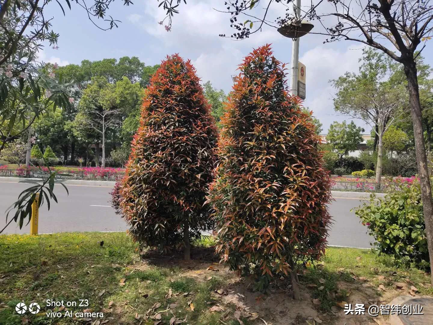 搭建网站如何进行代理