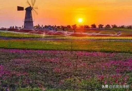 合肥市科技局在什么位置
