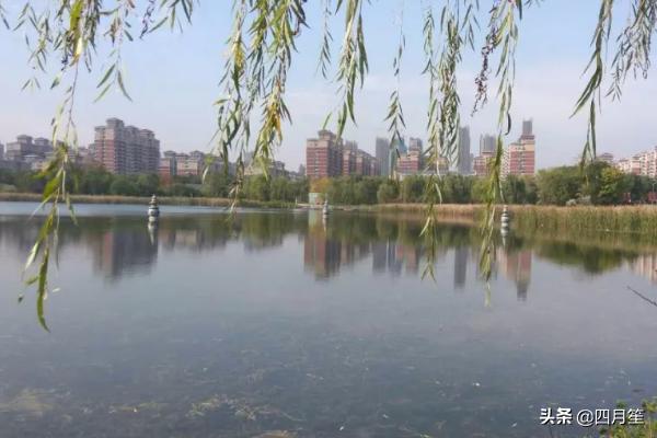 武汉市园博园属于什么区