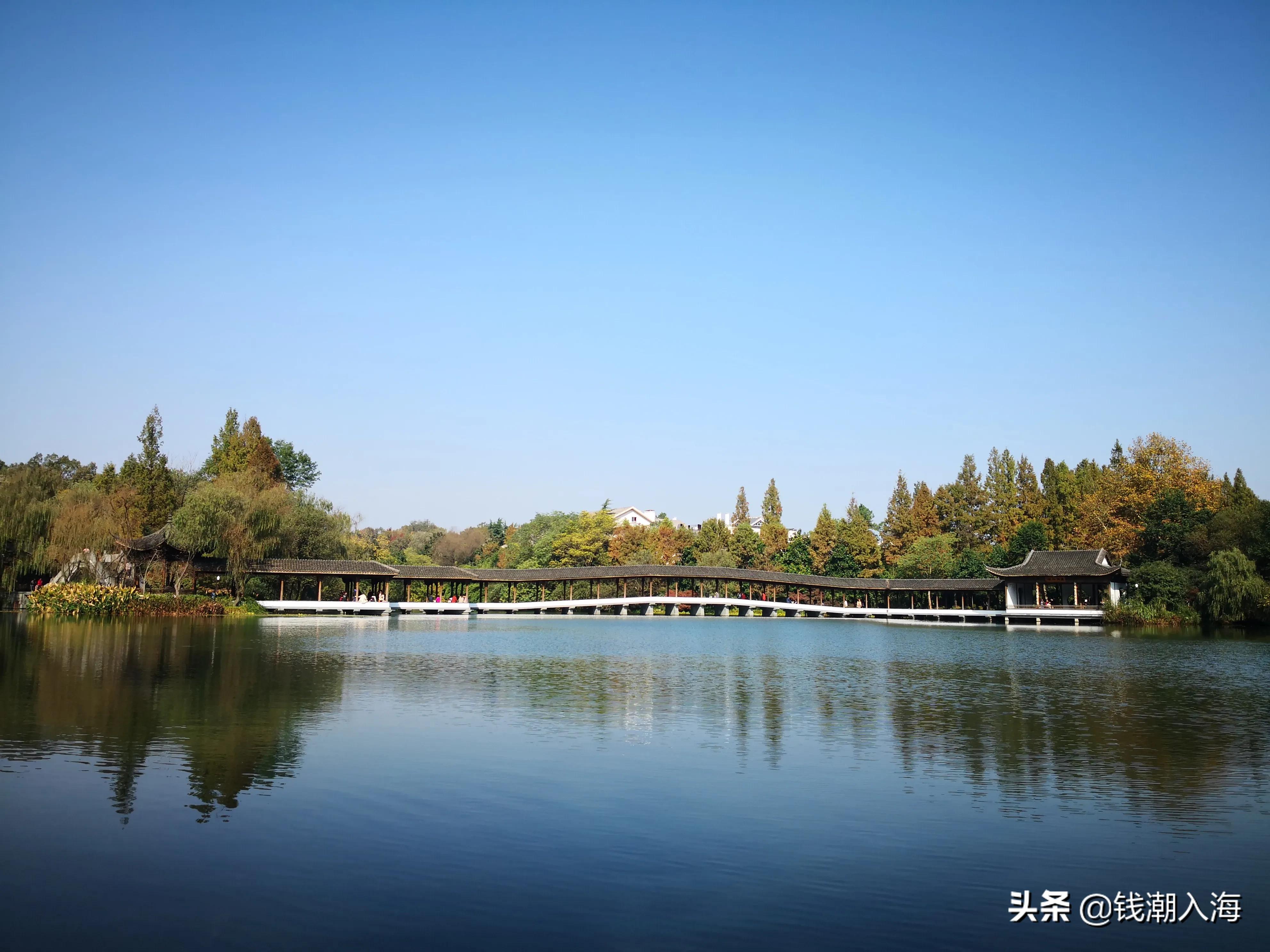 为什么杭州市房价涨了