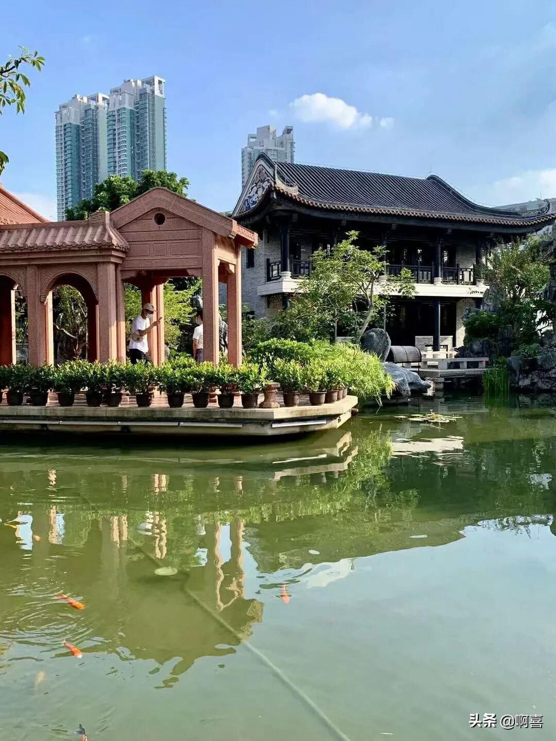 带46名老人去旅游（为什么参团旅游，大部分都是50、60、70岁的老人较多，年轻人参团游很少？）