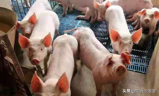 北方汽车报价,北方汽车报价网