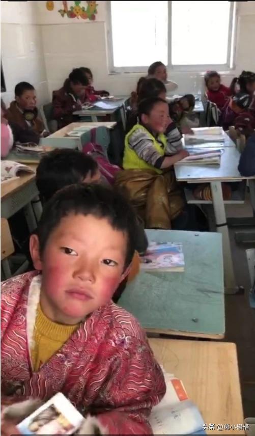 海外生活现状问题分析报告，海外生活现状问题分析报告怎么写