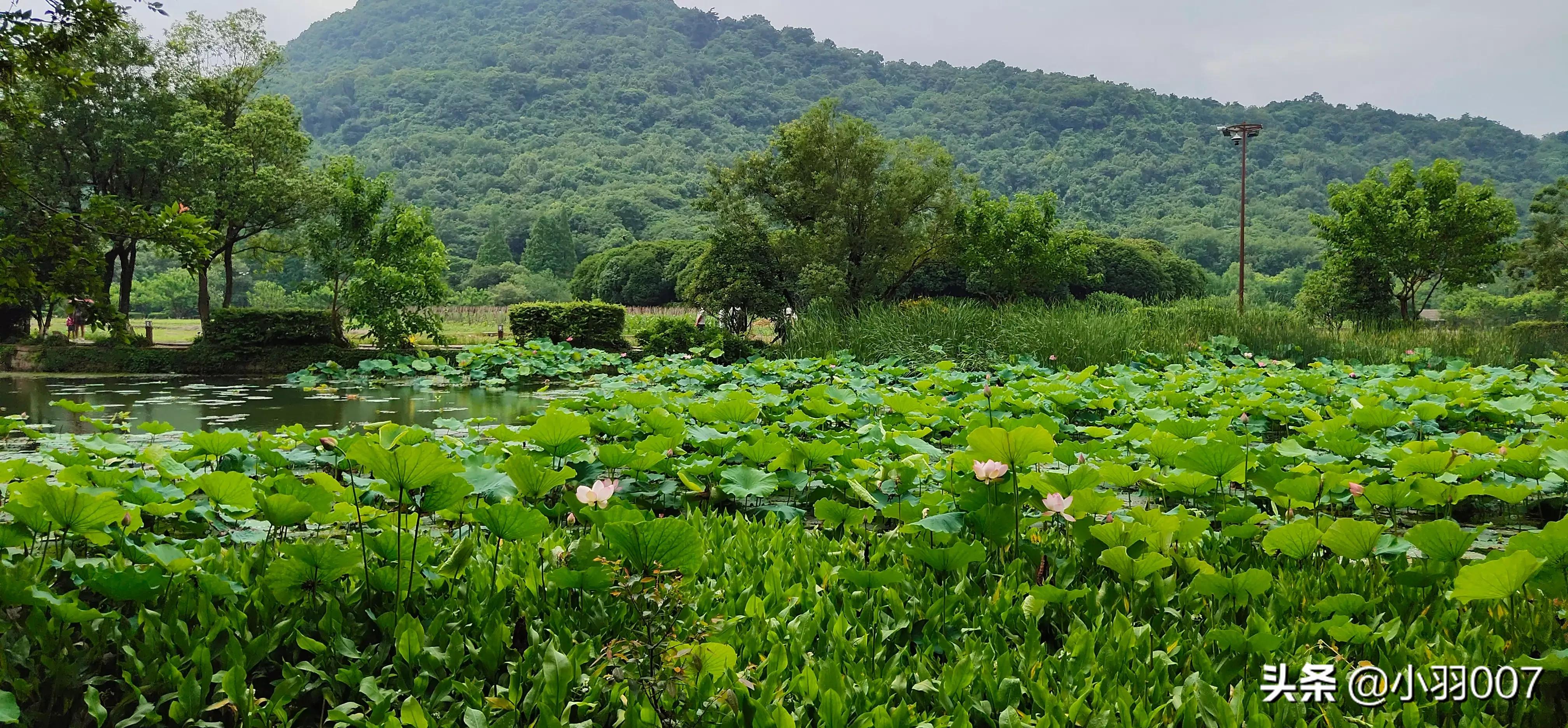 杭州市有什么好去处