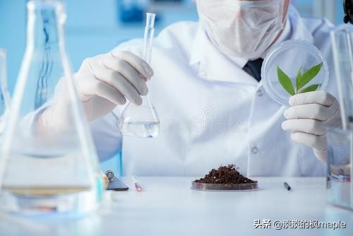 疫情海外生活现状分析论文，疫情海外生活现状分析论文怎么写