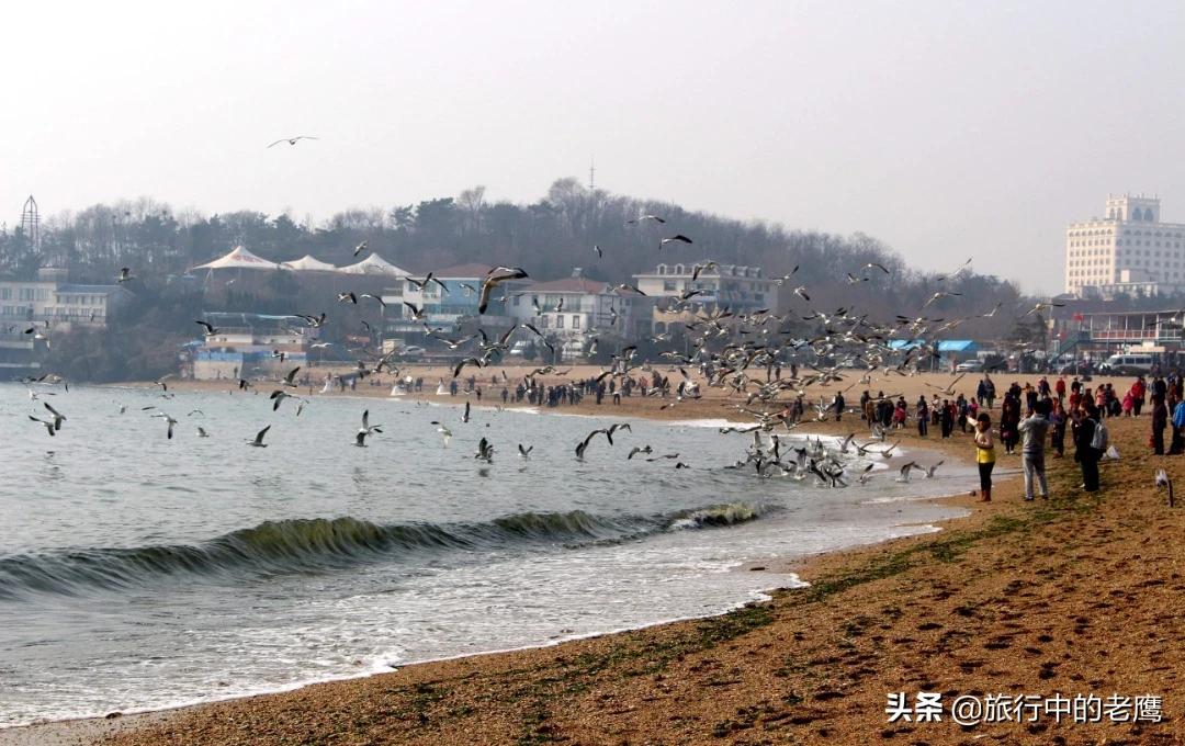 大连市星海广场都有什么