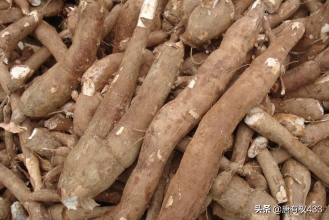 熟悉的味道2(优酷为什么看不了熟悉的味道第四季?) 熟悉的味道2(优酷为什么看不了熟悉的味道第四季?)