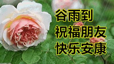 青摄影(谷雨春光晓,山川黛色青。叶间鸣戴胜,泽水长浮萍。摄影如何拍?) 青摄影(谷雨春光晓,山川黛色青。叶间鸣戴胜,泽水长浮萍。摄影如何拍?)