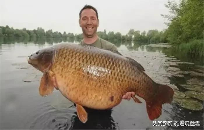亚洲人男生在海外生活，亚洲人男生在海外生活多久