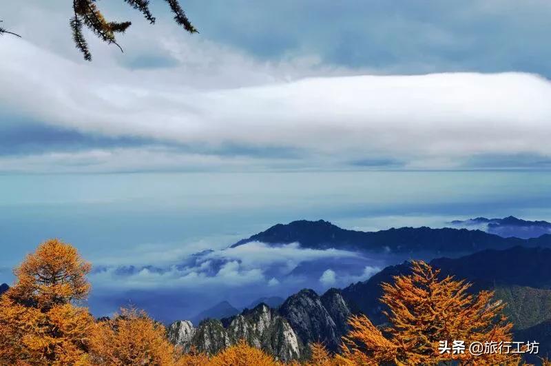 西安市秦岭山都有什么