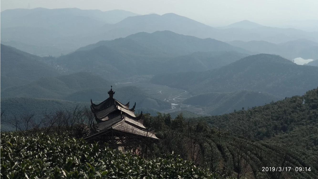 青摄影（谷雨春光晓，山川黛色青。叶间鸣戴胜，泽水长浮萍。摄影如何拍？）