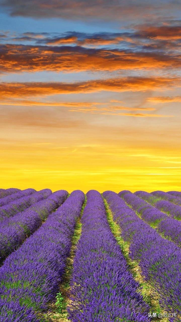 台州网络营销服务中心招聘,台州道通汽车销售服务有限公司介绍?