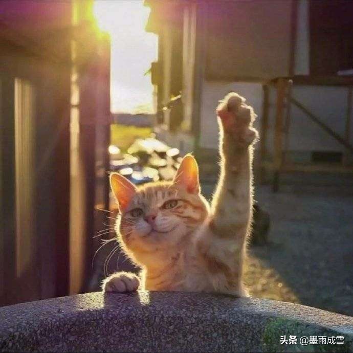 2022年考研备考时间 （2022年考研备考时间表）
