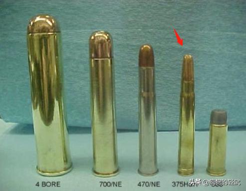 9x19mm手枪能一枪放倒老虎吗？：玩手枪失手击毙自己