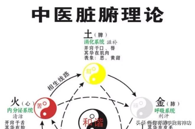 因热爱中医重新高考（女儿高三，想让她考中医药大学，问问过来人中医就业前景怎么样？）