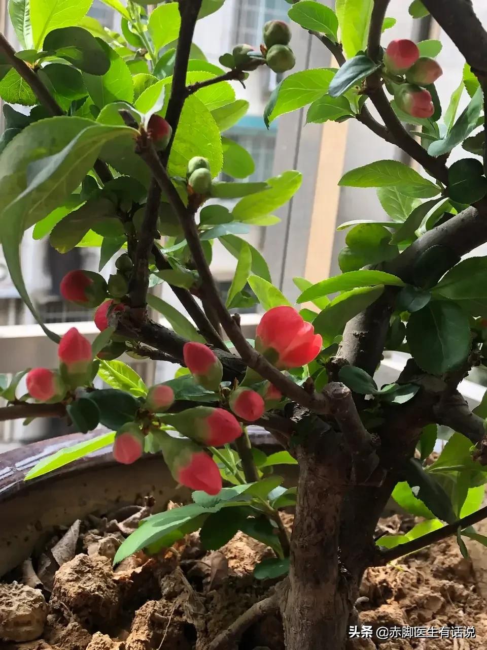 无锡市哪里疫情严重些啊