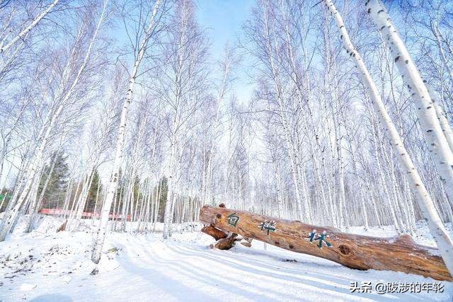 漠河迎来入秋首场降雪，村庄银装素裹宛如童话世界, 你怎么看？：漠河迎今秋最大降雪