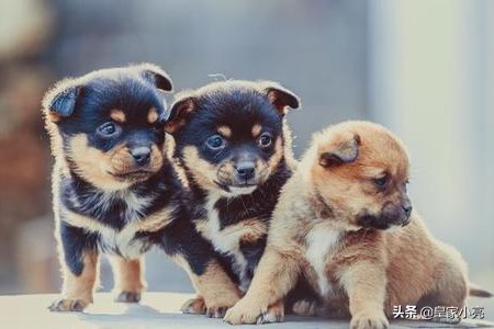 能把（人流完之后子宫里面还有2厘米的血块清宫能清干净吗？）