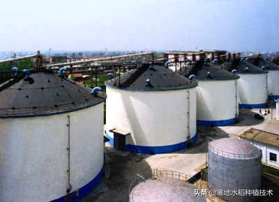 人均粮食占有量公式？：人均粮食占有量1000斤 