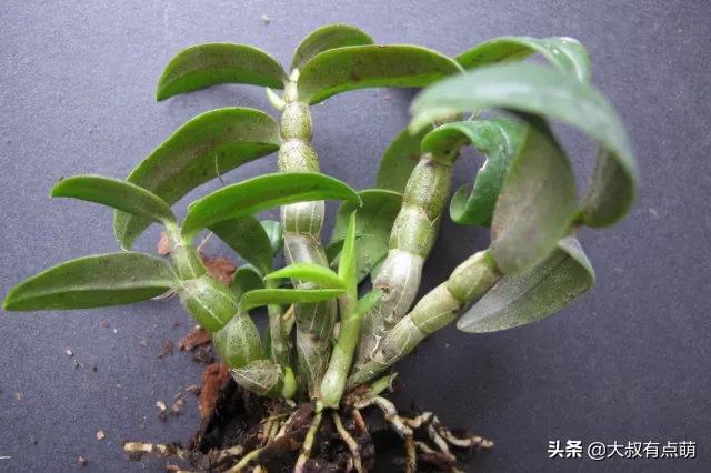 合肥属于疫情重灾区吗？你怎么看？