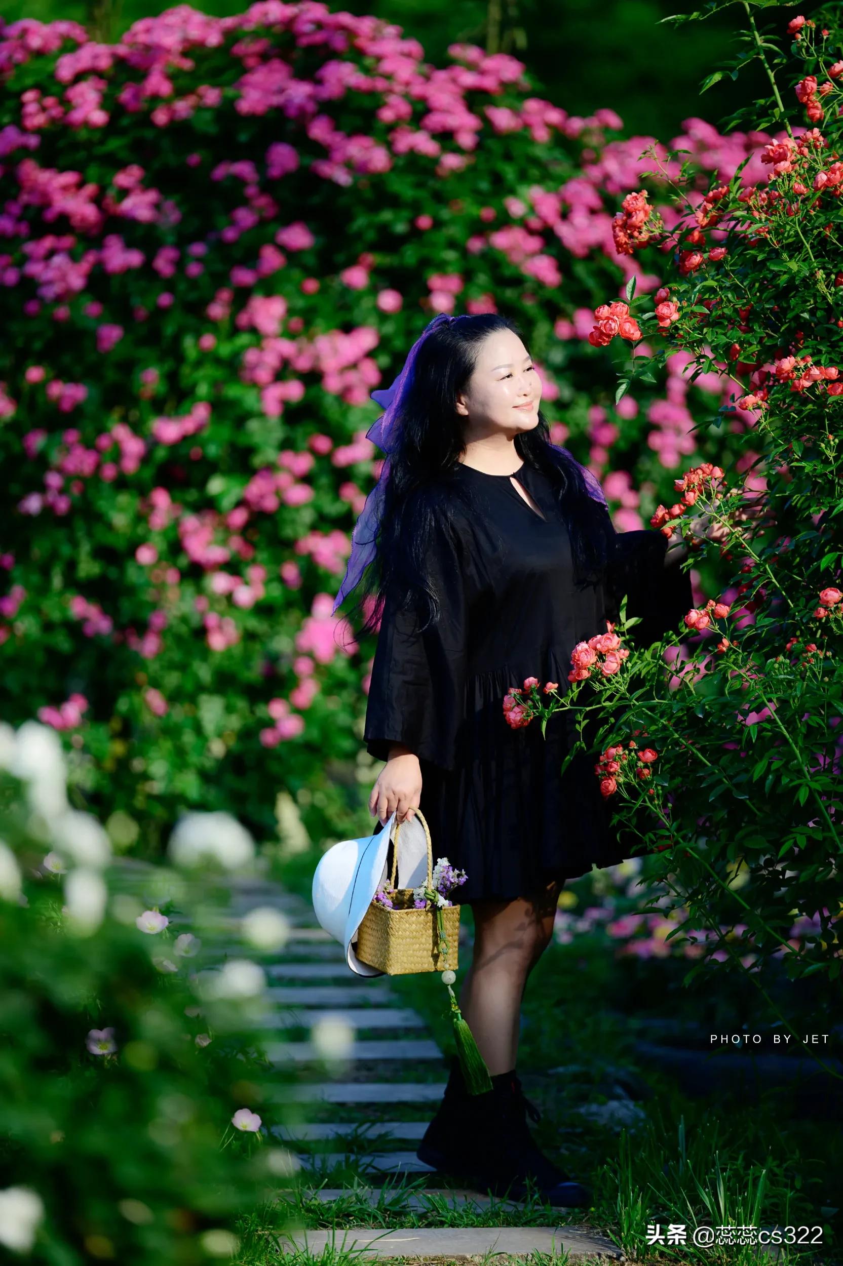 樱花的图片樱花的图片大全 最美 樱花的图片樱花的图片大全 最美