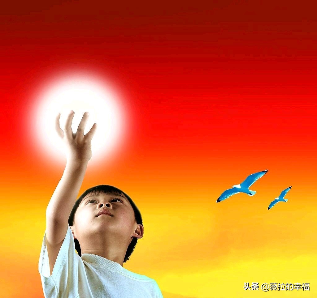 梦想的图片（关于一些追求梦想自由的漫画？）