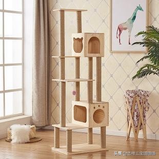 猫爬架测评美妆好物
