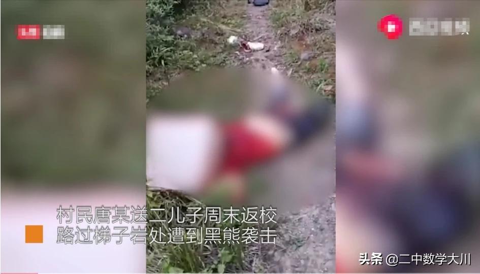 突发惨案！母亲送儿上学读书遭黑熊咬死，两名搜救村民遇袭身亡，这是怎么了？：孕妇遭黑熊袭击