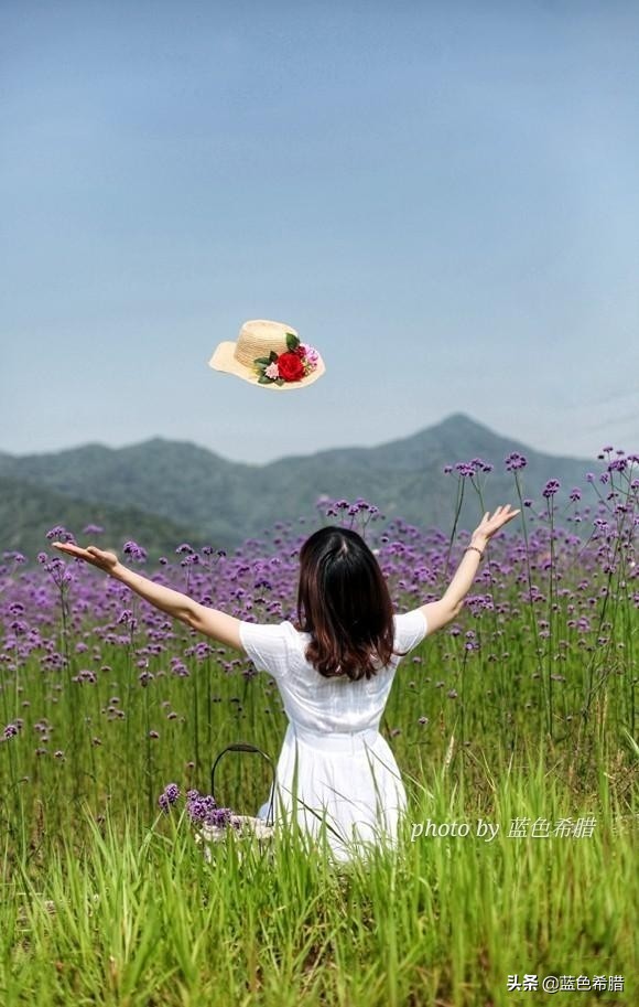 定焦头定焦头和变焦头的区别