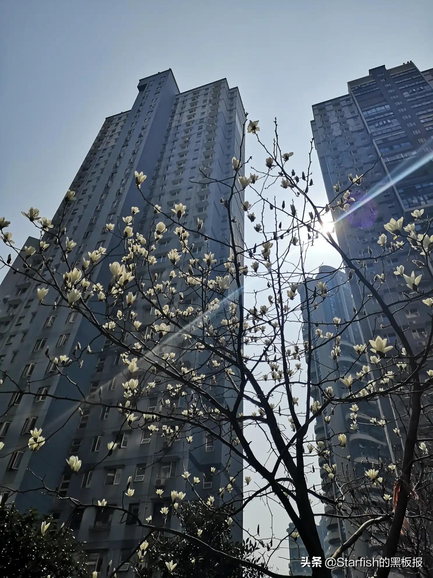 武汉市管控什么时解封 武汉市管控什么时解封