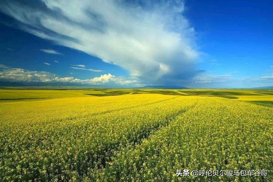 跑焦(跑焦是镜头问题还是相机问题?) 跑焦(跑焦是镜头问题还是相机问题?)