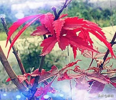 智能图像创作中心网站官网,请问大家写头条都在哪里找的图片呀?