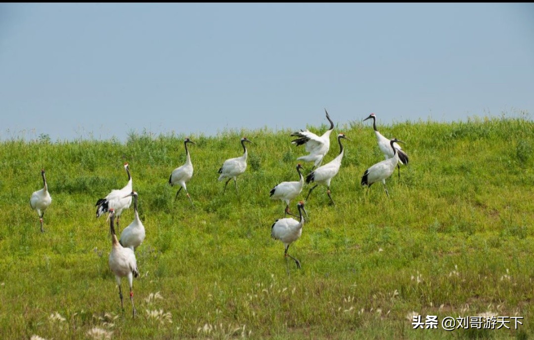 满洲里哈尔滨的自驾游攻略有什么值得推荐的?
满洲里哈尔滨的自驾游攻略有什么值得推荐的?