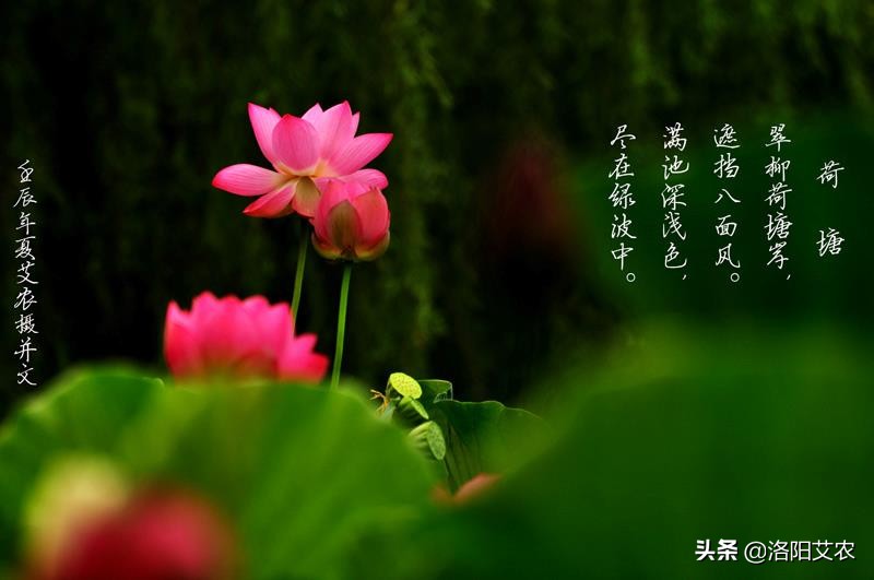 尼康d850(尼康d850深度评测?) 尼康d850(尼康d850深度评测?)