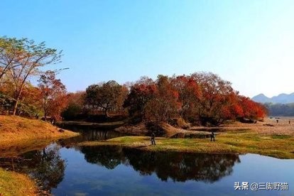 11月桂林市有什么活动