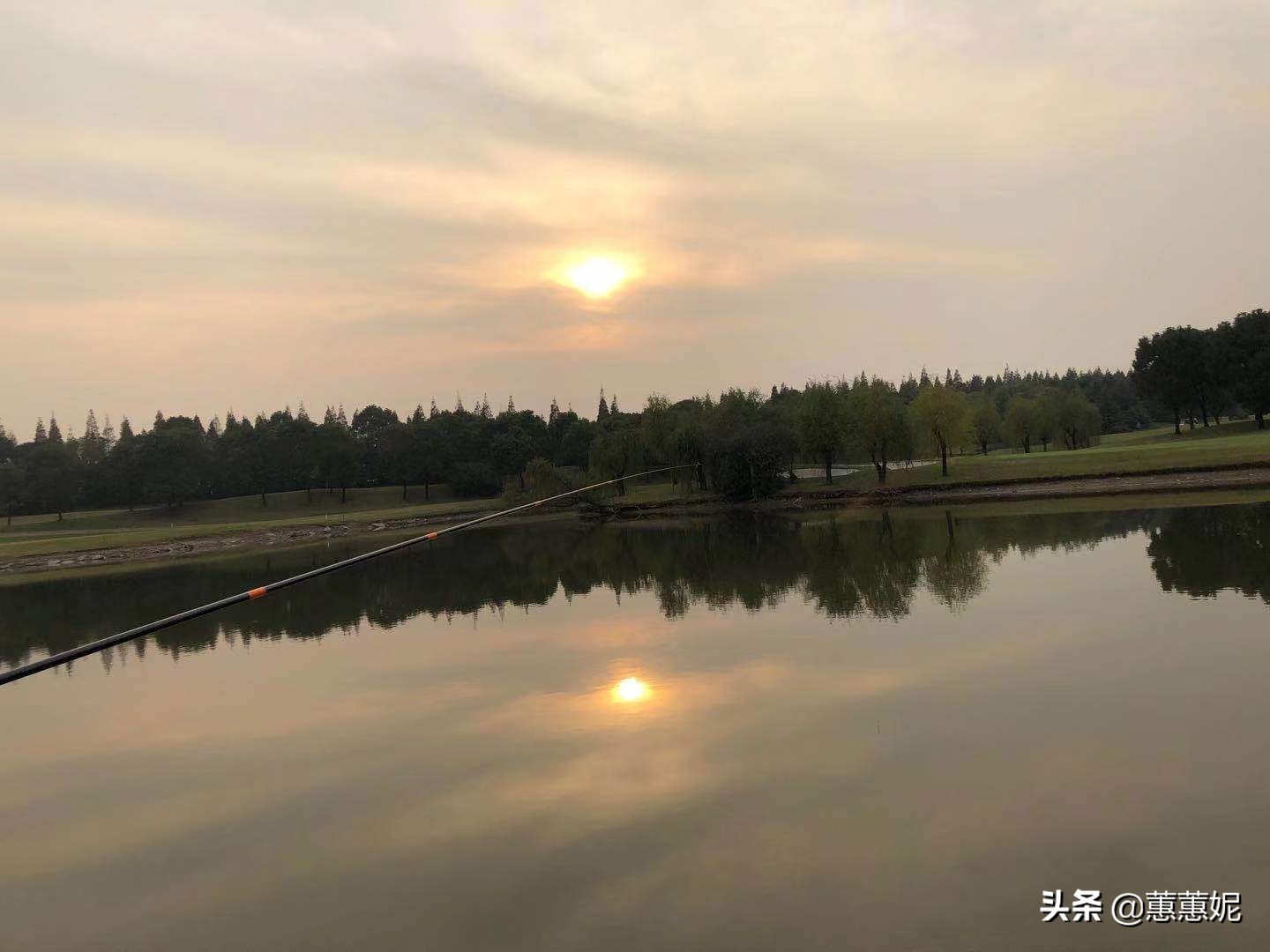 上课辱骂老师被开除违法吗？：女子骂吸烟领导被辞