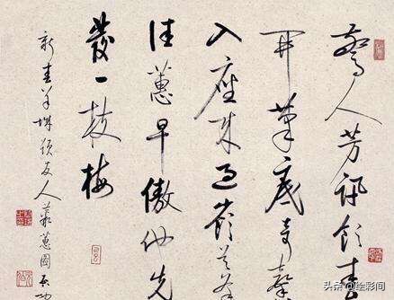 适合学草书的书法字体