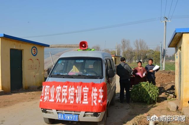 [桔子红了]《桔子红了》这部电视剧，你觉得好看吗？