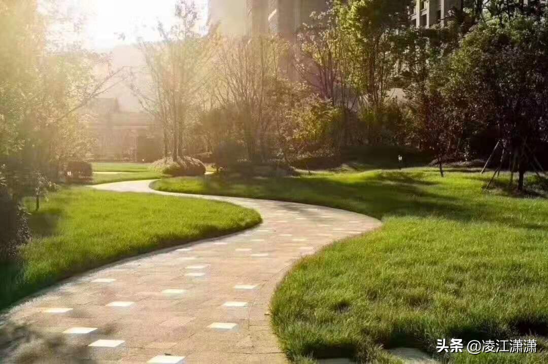 温州房产app定制开发