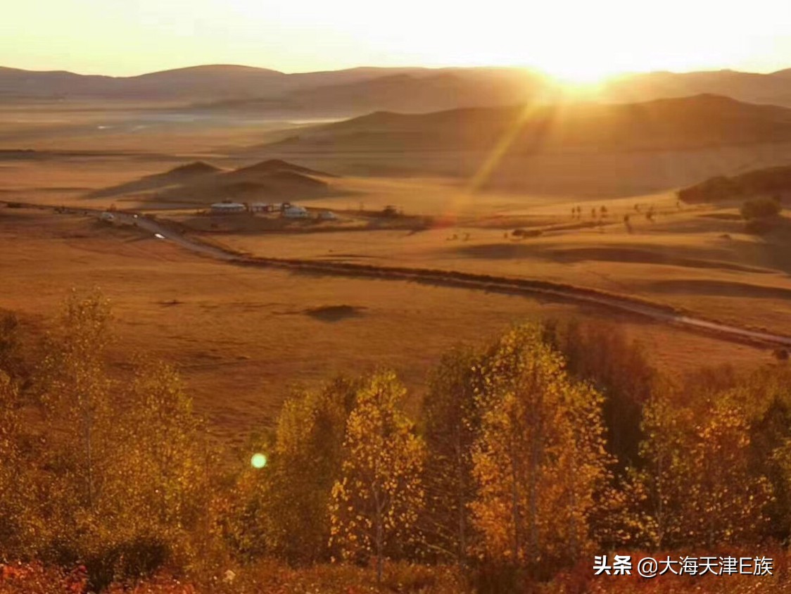 英雄树英雄树指的是什么树