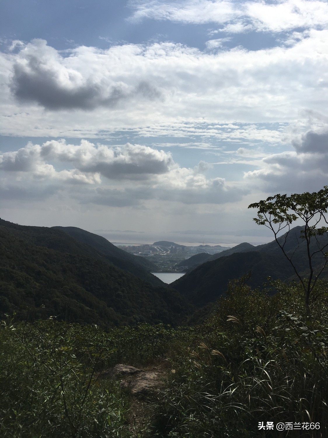 旅游变骨灰被寄回家