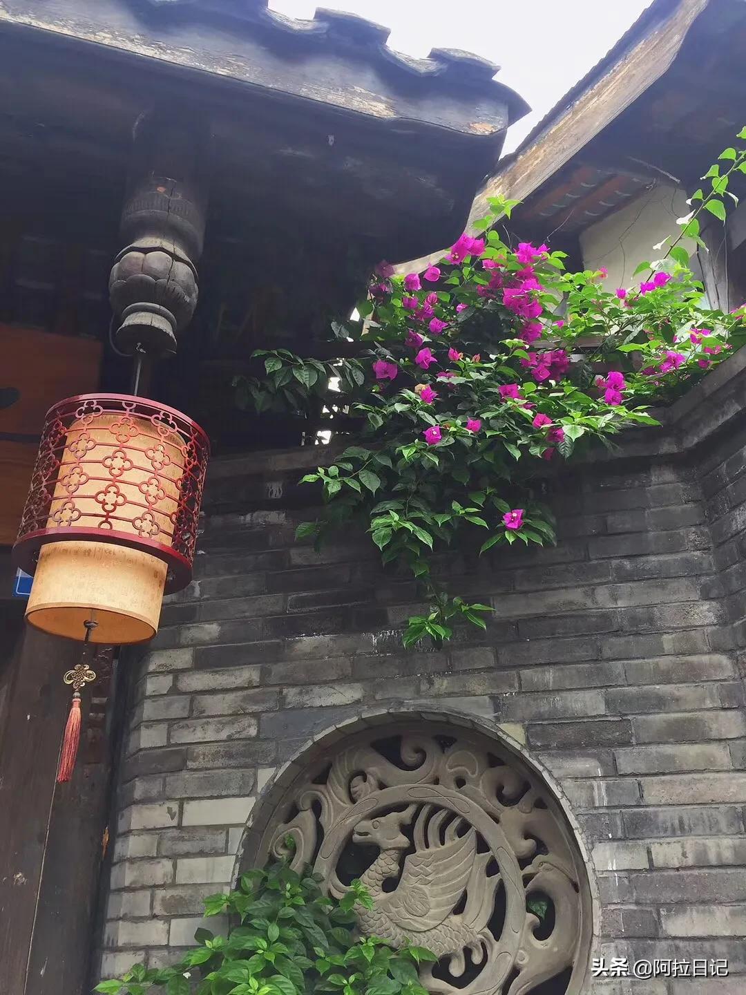 休闲的海外生活，外国的休闲方式