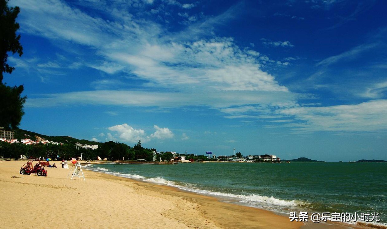 厦门哪个海滩有一棵树？