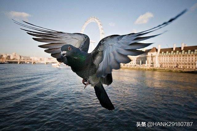 广角镜头有什么用（广角镜头适合拍什么？）