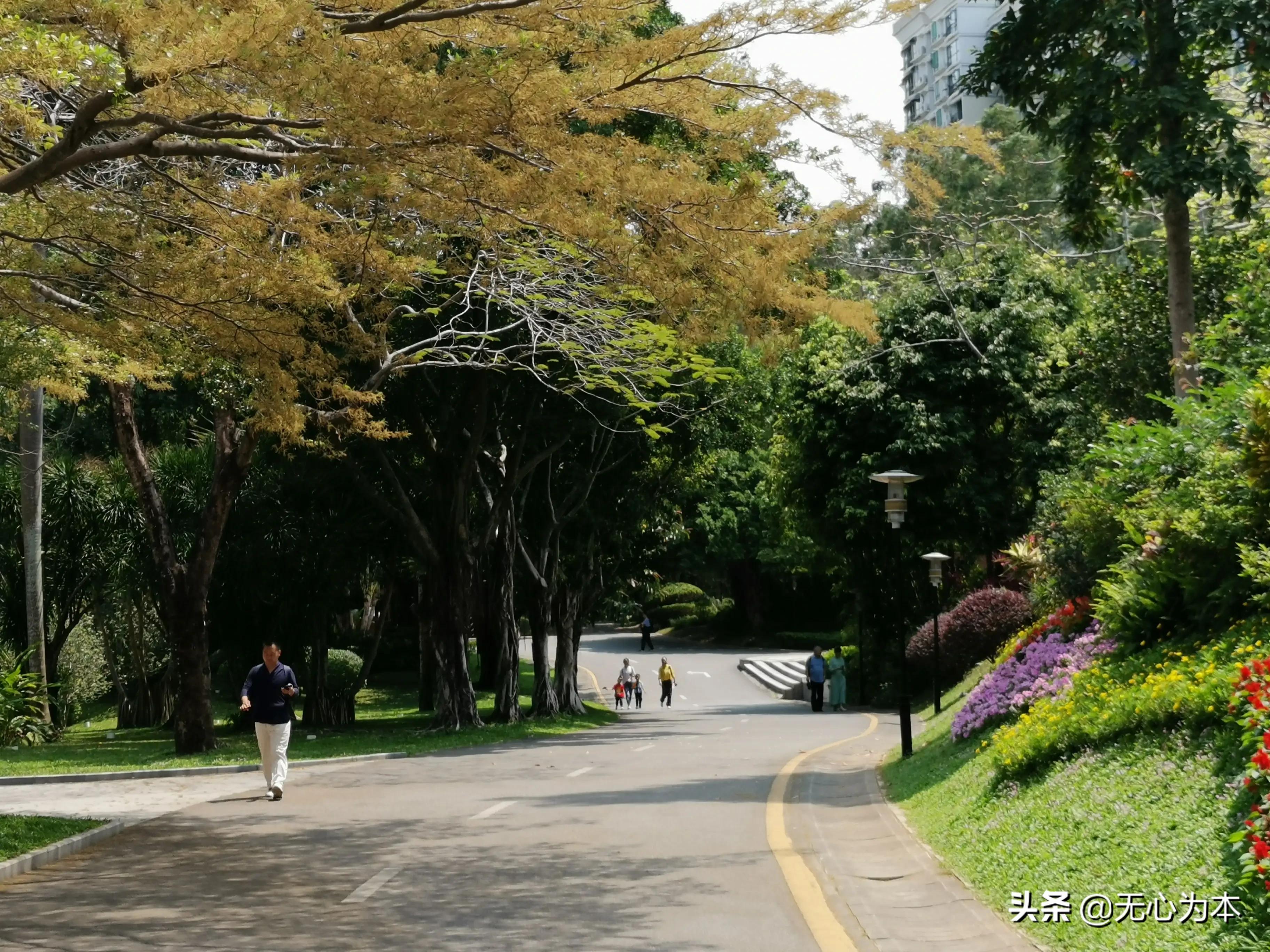 厦门市区离哪个土楼最近