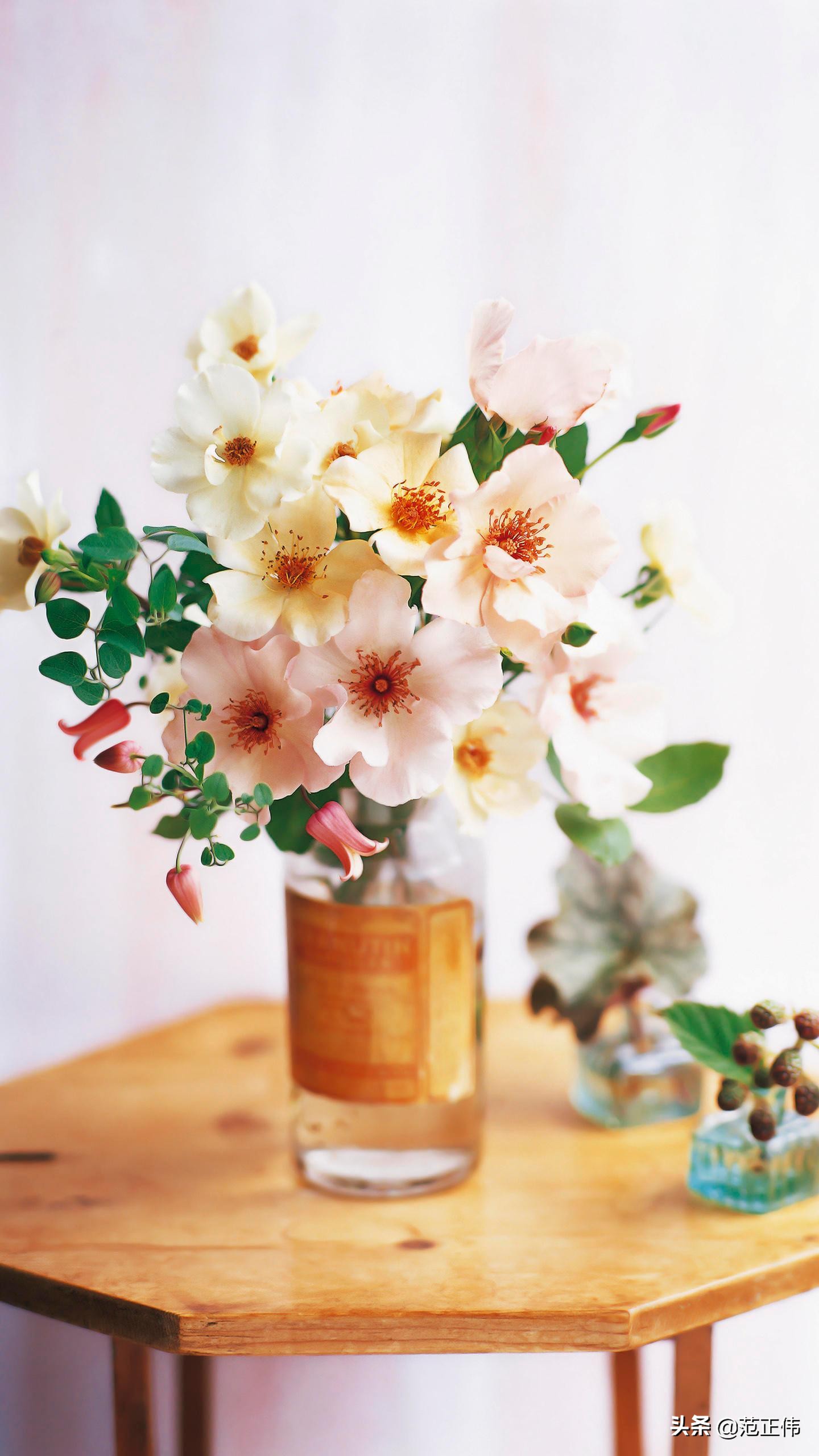 台州网络营销服务中心招聘,台州道通汽车销售服务有限公司介绍?