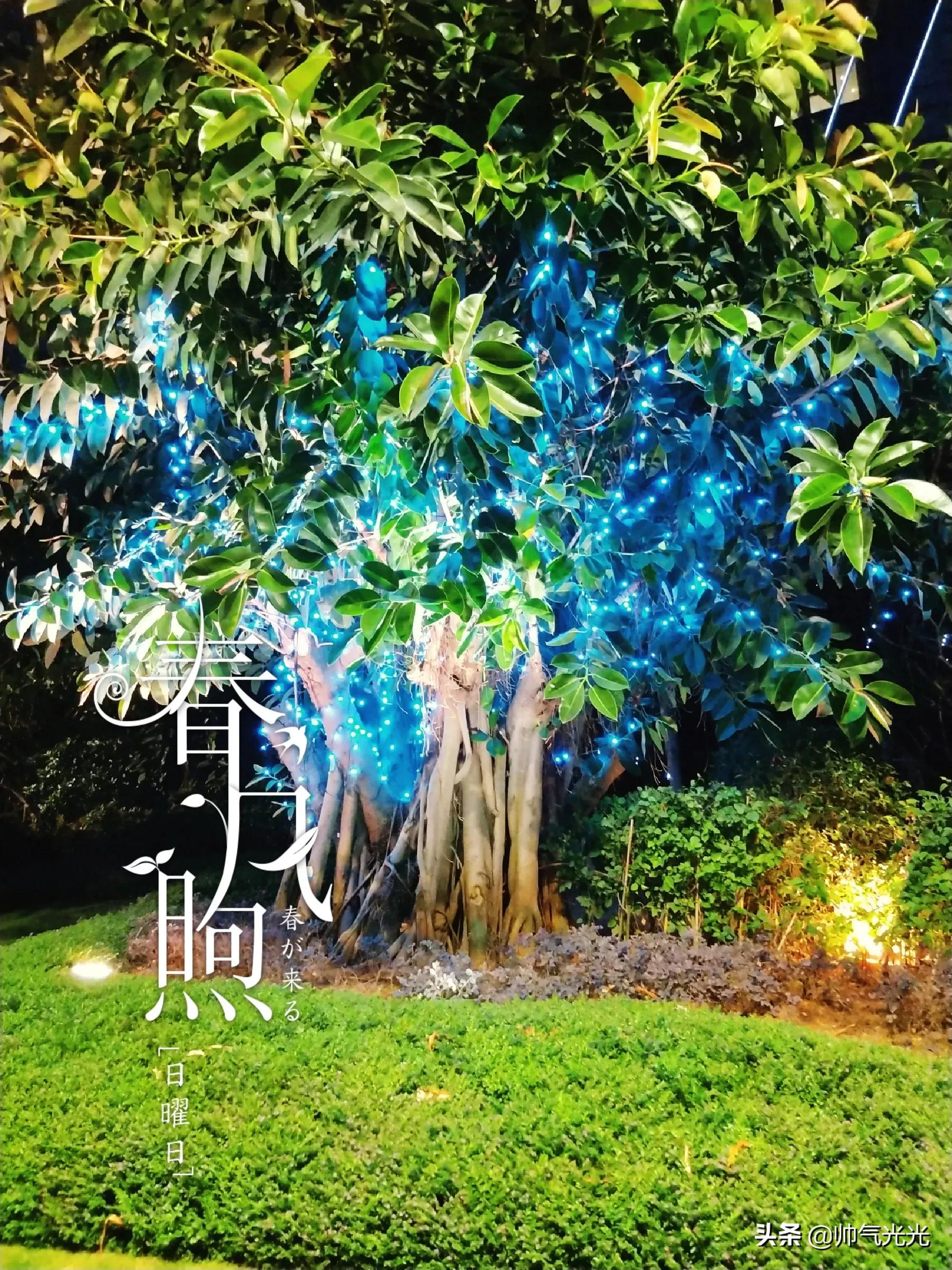 辽宁沈阳城镇医疗保险网上怎么交？